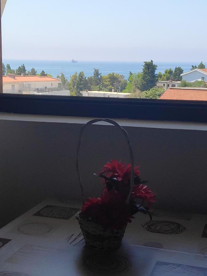 Apartmani Vitic Bar Eksteriør billede